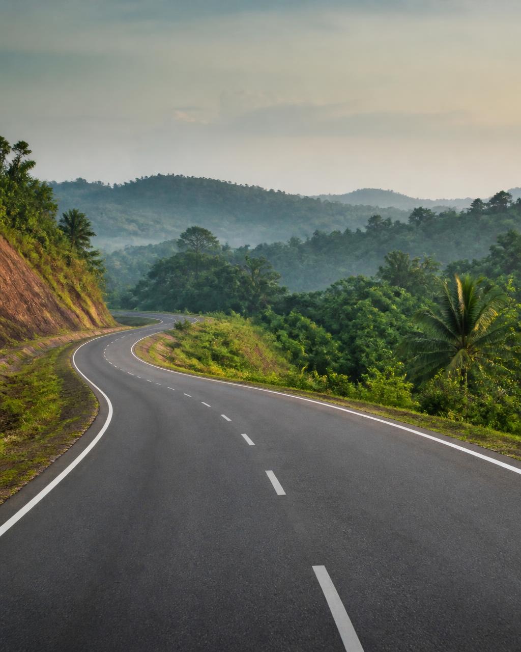 Tarmac road curving through green Benue countryside